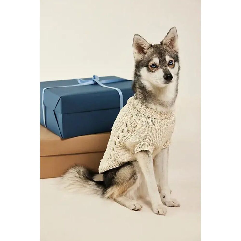 New Free People x French Knot Cable Knit Dog Sweater Size L